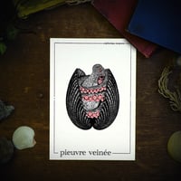 Image 2 of PIEUVRE VEINÉE