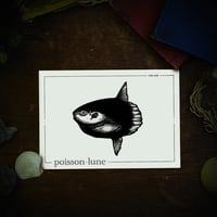 Image 2 of POISSON-LUNE