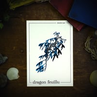 Image 2 of DRAGON FEUILLU