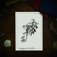 Image 1 of DRAGON FEUILLU