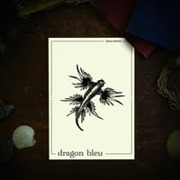 Image 1 of DRAGON BLEU DES MERS