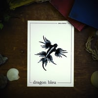 Image 2 of DRAGON BLEU DES MERS