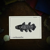 Image 1 of COELACANTHE