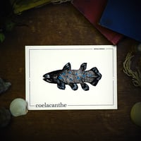 Image 2 of COELACANTHE