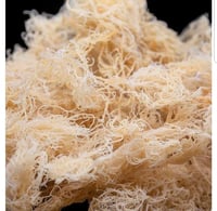 Image 4 of 16 oz Gold Sea Moss Gel 