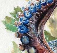 Image 4 of GICLÉE PRINTS - The Octopus Collection