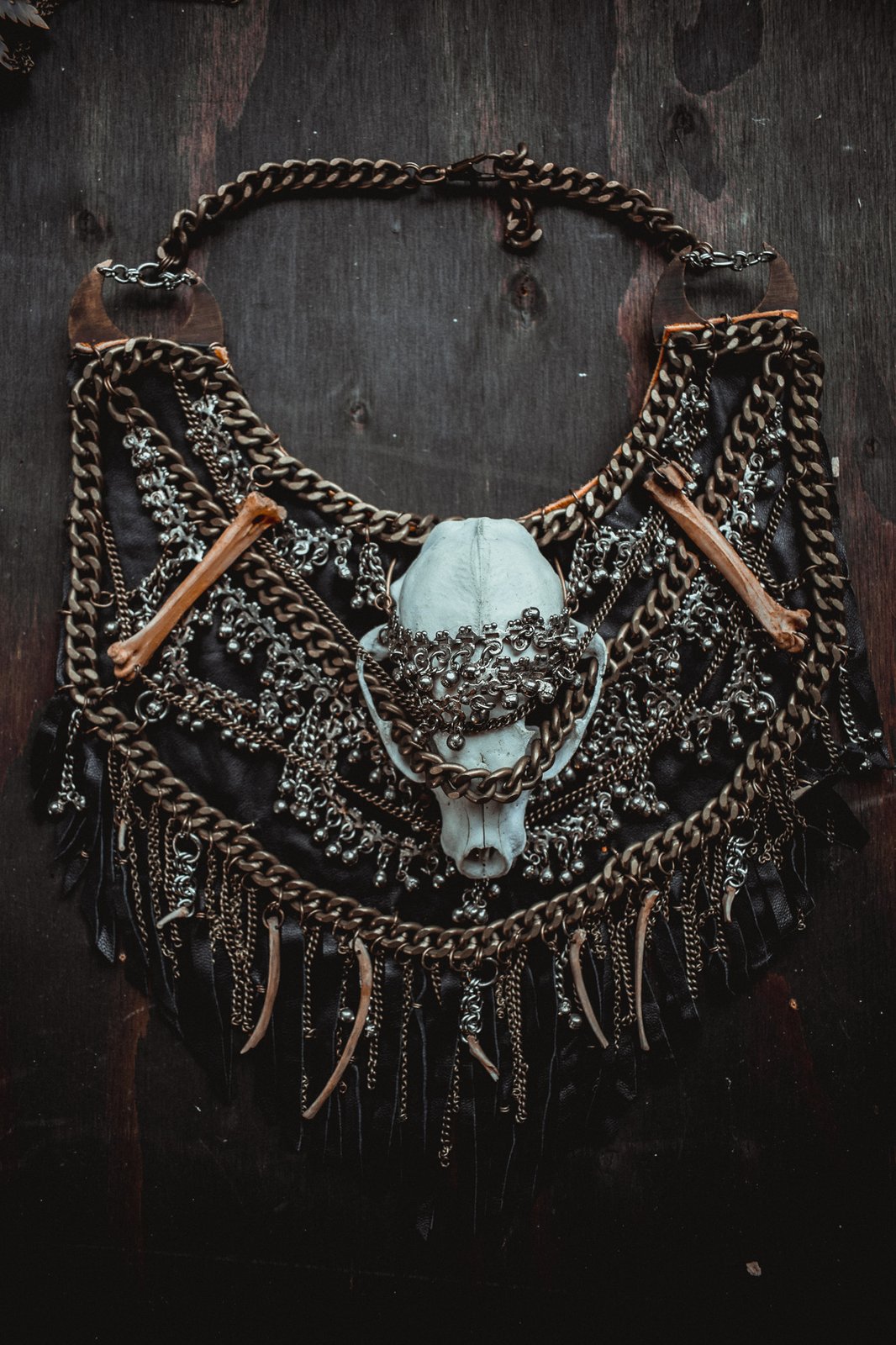 Scavenged 2024 Raccoon Teeth Necklace on Brass Chains, Nature, Forest, Feral, Witchy, Vulture Culture, Ethically Sourced, Death Bling