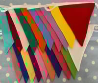 Image 4 of Rainbow Bunting