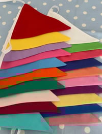 Image 3 of Rainbow Bunting