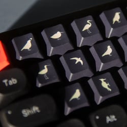 Image of KeyBird Keycaps Special Edition