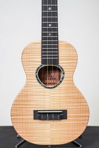 Image 2 of Shop Order KoAloha KCMR-00 Curly Maple Rosette Concert Gloss