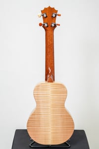 Image 5 of Shop Order KoAloha KCMR-00 Curly Maple Rosette Concert Gloss