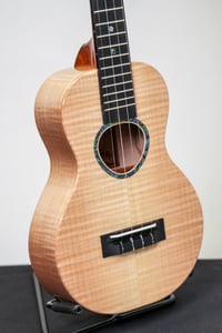 Image 3 of Shop Order KoAloha KCMR-00 Curly Maple Rosette Concert Gloss