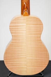 Image 6 of  Shop Order KoAloha KTMR-00 Curly Maple Rosette Tenor Gloss