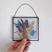 Image 1 of Butterfly Effect