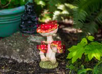 Image 2 of Toadstool Bouquet