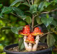 Image 4 of Pixie Perch Trio