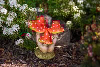 Image 5 of Pixie Perch Trio