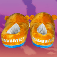 Image 4 of GRADUATION SLIPPERS (AVAILABLE NOW)