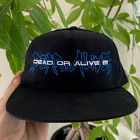 Dead Or Alive 2 Hat