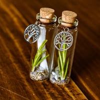 Image 10 of Tree of Life - Message in a Bottle