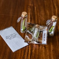 Image 5 of Tree of Life - Message in a Bottle
