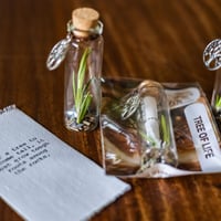 Image 6 of Tree of Life - Message in a Bottle