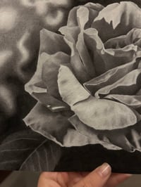 Image 4 of White Rose  ~ Fine Art Print