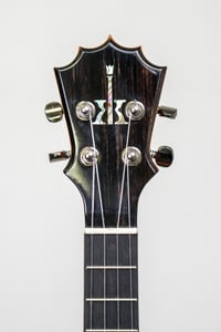 Image 4 of Shop Order KoAloha KTMR-00 Curly Spalted Mango Rosette Tenor Gloss