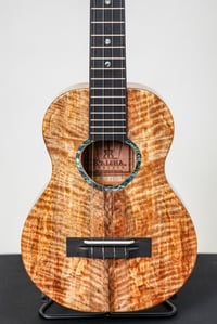 Image 2 of Shop Order KoAloha KTMR-00 Curly Spalted Mango Rosette Tenor Gloss