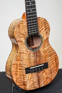 Image 3 of Shop Order KoAloha KTMR-00 Curly Spalted Mango Rosette Tenor Gloss