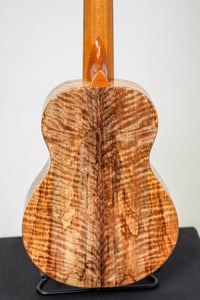 Image 6 of Shop Order KoAloha KTMR-00 Curly Spalted Mango Rosette Tenor Gloss