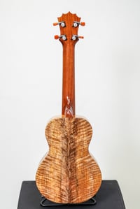 Image 5 of Shop Order KoAloha KCMR-00 Curly Spalted Mango Rosette Concert Gloss