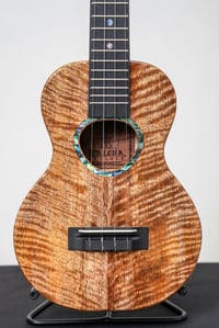 Image 2 of Shop Order KoAloha KCMR-00 Curly Spalted Mango Rosette Concert Gloss