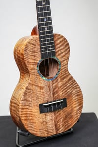 Image 3 of Shop Order KoAloha KCMR-00 Curly Spalted Mango Rosette Concert Gloss