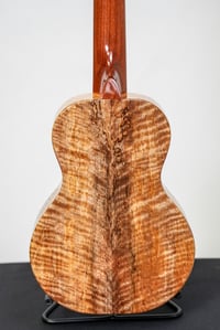 Image 6 of Shop Order KoAloha KCMR-00 Curly Spalted Mango Rosette Concert Gloss