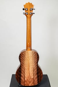 Image 5 of KoAloha KTM-00 Shop Order Bearclaw Spruce Top Curly Walnut Tenor