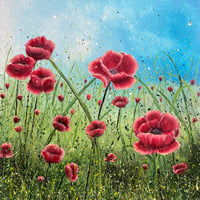 Image 3 of 'Coastal Poppies'