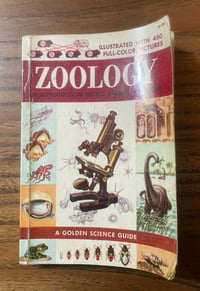 Vintage Golden Nature Guide: Zoology