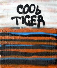 Image 2 of Cool tiger