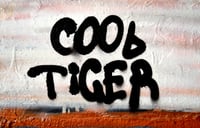 Image 4 of Cool tiger