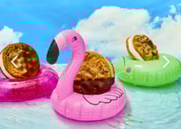 BEST SELLER CREAM'WICH - 12 PACK