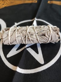 White Sage 4inch