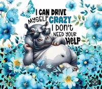 Image 1 of Drive myself crazy