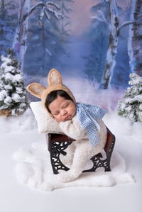 Image 10 of Boy's Newborn Session  