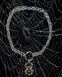 Image 2 of variety gothic/whimsigoth necklaces 