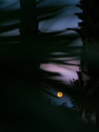 Image 3 of NACHTMEER - Special Edition Variation II