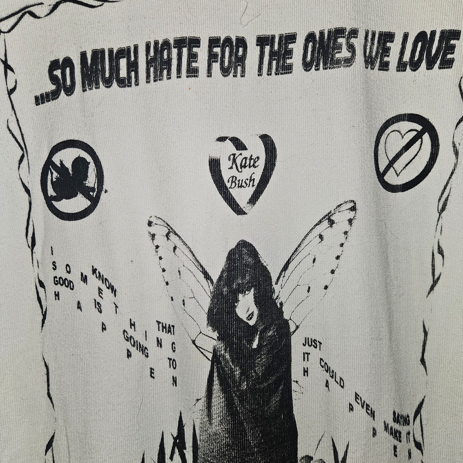 Image of so much hate for the ones we love (xs)