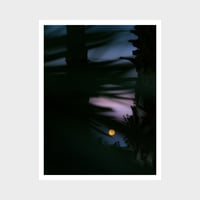 Image 1 of NACHTMEER - Special Edition Variation II