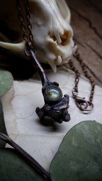 Image 3 of Vertebra Bone and Labradorite Pendant 